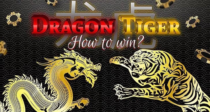 Rồng Hổ và những thủ thuật quan trọng giúp bạn có được những kết quả tốt đẹp