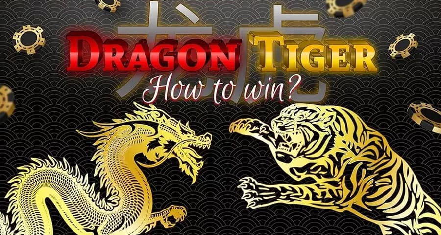 Rồng Hổ và những thủ thuật quan trọng giúp bạn có được những kết quả tốt đẹp rong ho va nhung thu thuat quan trong giup ban co duoc nhung ket qua tot dep